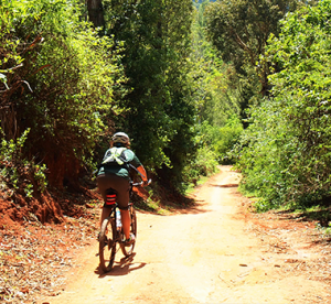 Bicycle tour around mount Kilimanjaro, Tanzania Bicycle Tours -