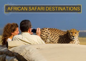 Africa safari tour Serengeti African Safari africa safaris namibia south africa safaris wildlife africa safaris wildlife safaris botswana safaris in kenya safaris tanzania