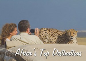 expeditions adventures and safaris