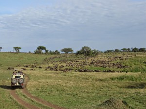 Kenya Safaris-Tanzania wildlife safaris -Botswana safaris-World Africa safari tour-expeditions adventures and safaris-africa safaris namibia - south africa safaris