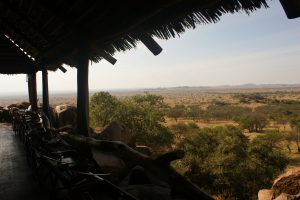 wild africa safaris-Africa safari tour-Serengeti African Safari