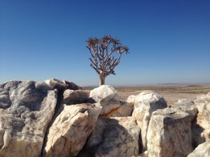 Namibia-Namib Desert-El Mundo Safaris