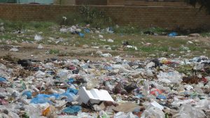 Kenya Bun Plastic Bags